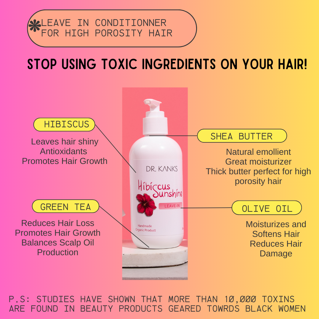 Hibiscus Leave-In For High Porosity Hair | Lightweight Moisturizer