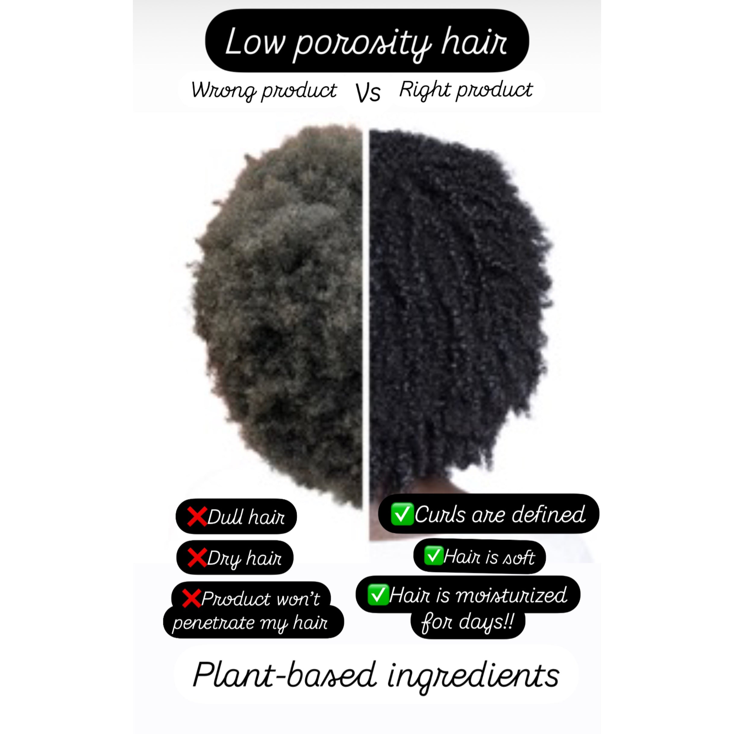 Aloe Vera Line For Low Porosity Hair | Dry Hair Solution | 10 days of Moisture Retention